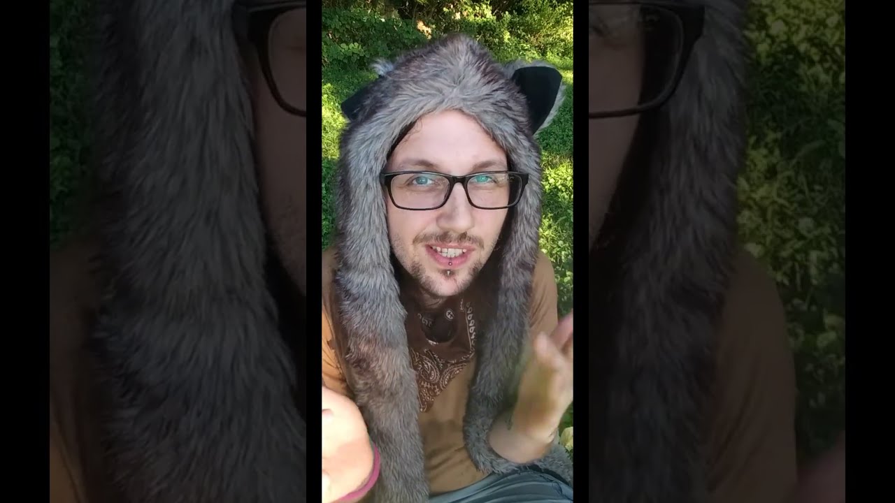 3 Things to Expect at Your FIRST Music Festival!!! (Pt 1)