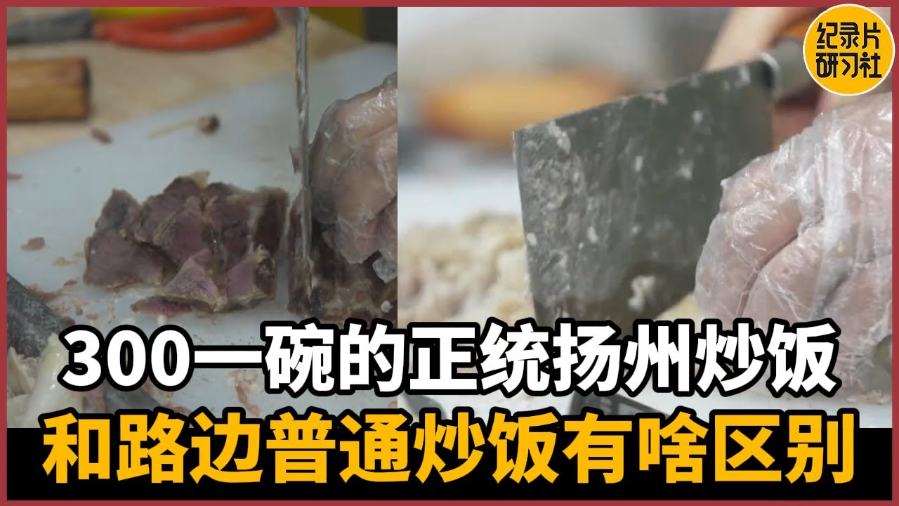 【对谈徐累】最亏的一集！300人民币一碗的正统扬州炒饭和普通炒饭有啥区别？#历史 #文化 #聊天 #纪实 #窦文涛 #马未都 #马家辉 #周轶君 #熱門 #推薦 #香港
