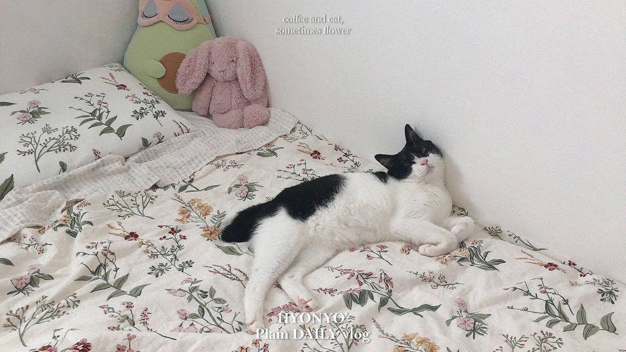 (ENG) 땡초의 귀염모먼트🐈💛_티비때리기,집사 명치공격,쩍벌하고자기..😂
