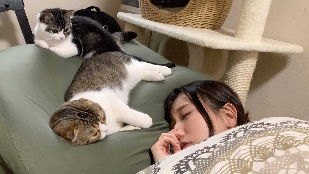 お昼寝するママを見守る猫たち【パパ猫・子猫】