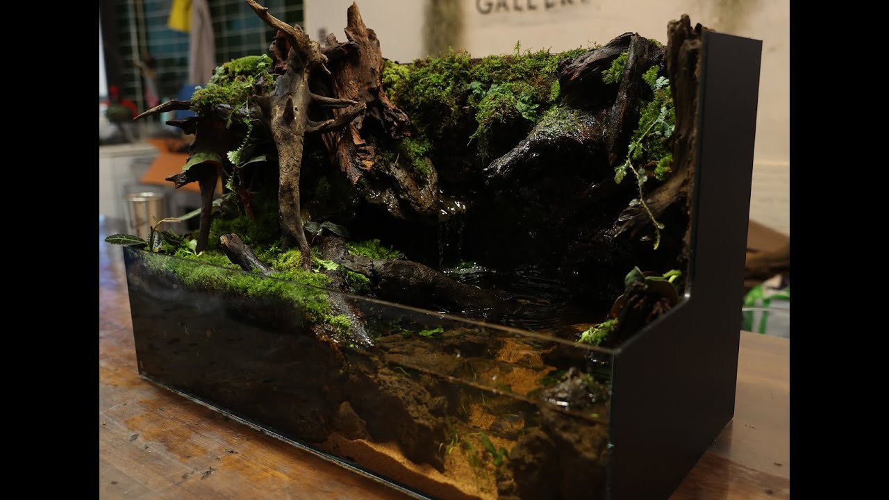 Part Of The Valley Paludarium Class Work | '계곡의 일부' 팔루다리움 클래스 작품