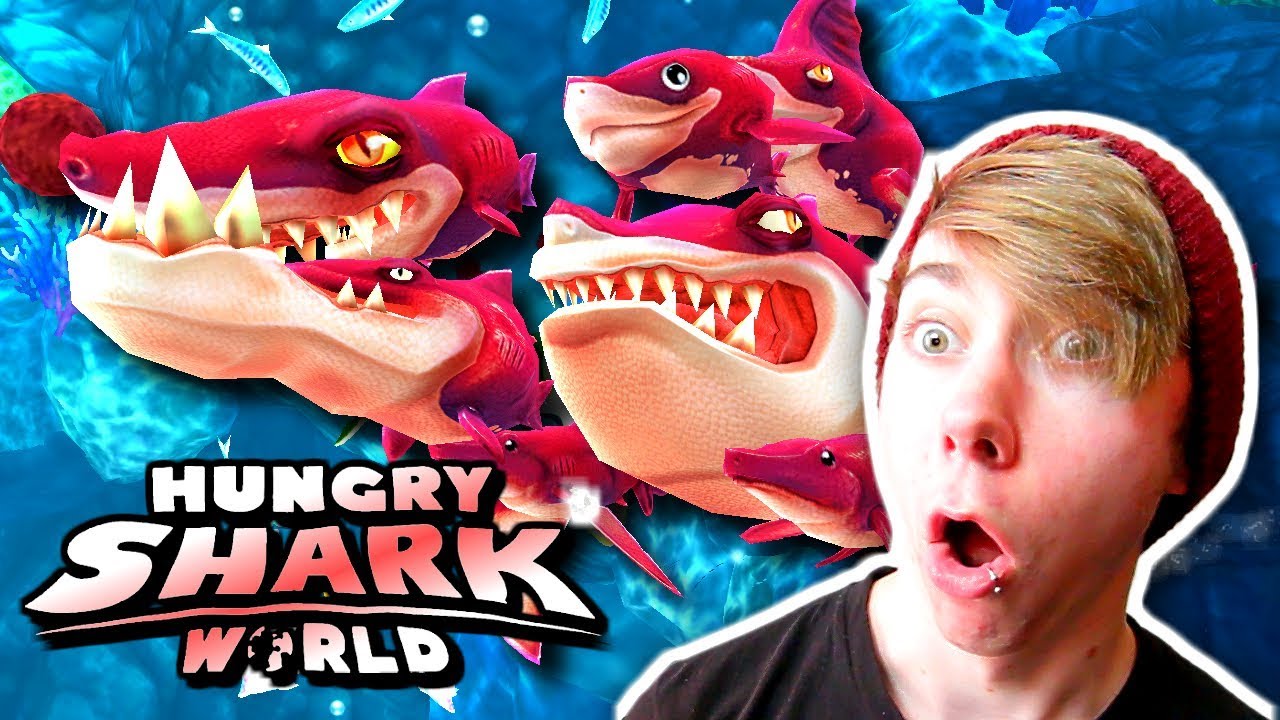Hungry Shark World - THE FRENZY SHARK! (iPhone Gameplay Video)