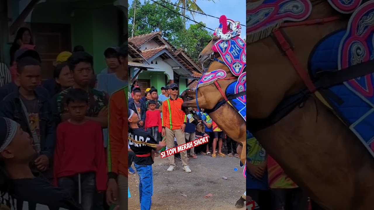 Atraksi kuda silat siManja bikin terpesona