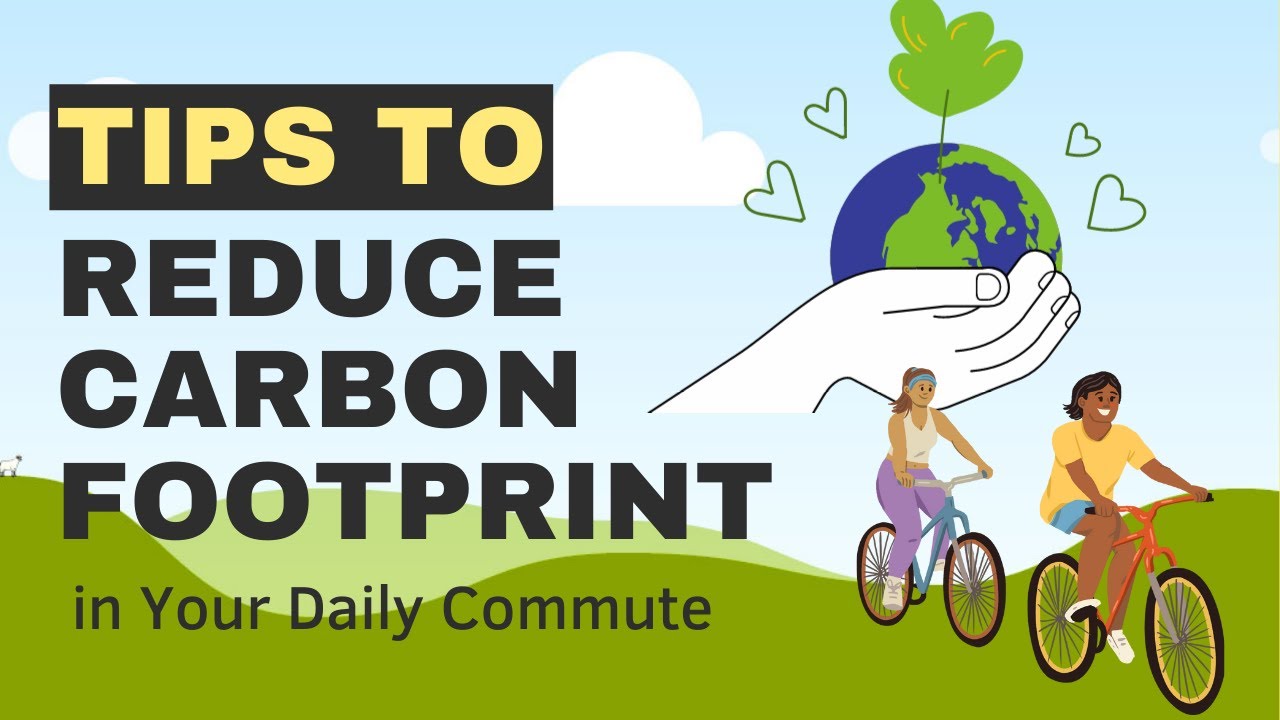 Sustainable Transport: How to Reduce Your Carbon Footprint in Your Daily Commute