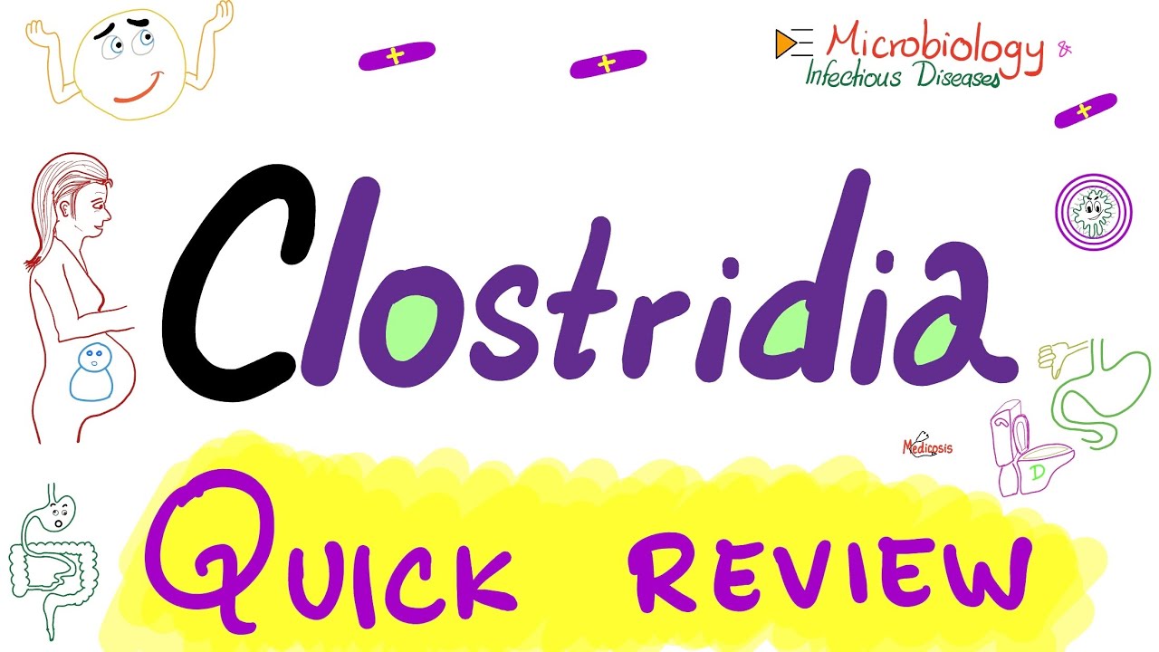 Бактерии Clostridium — краткий обзор — difficile, perfringens, tetani и botulinum