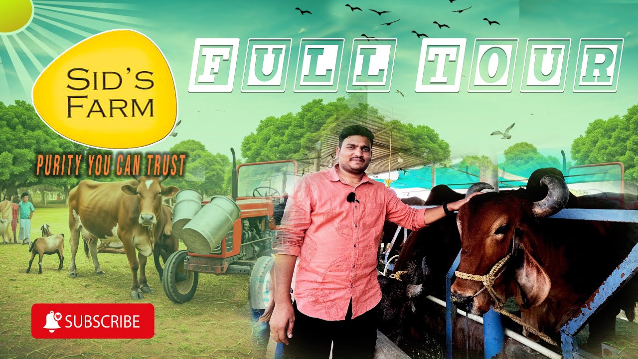 Sid's Farm Full Tour | India's Most Tested Milk | Hyderabad | Latest | Mr Wanderlust Telugu