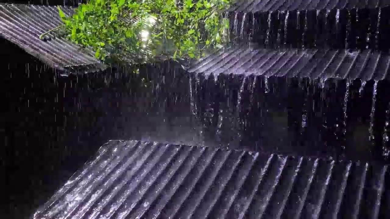 Heavy Rain Under Tin Roof 🌧️ Deep Sleep & Anxiety Relief