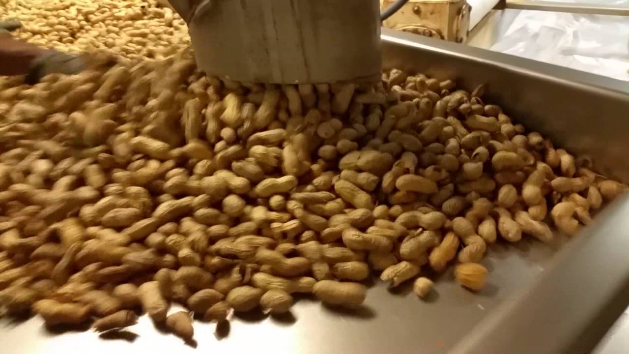 Hayssen Ultima VFFS Packaging In-Shell Peanuts at 42ppm