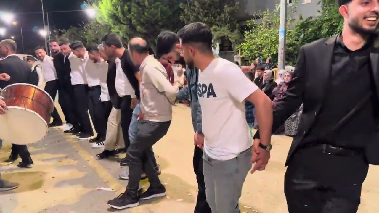 Cida Halay Hozan Veysi Telsiztepe / AYDIN