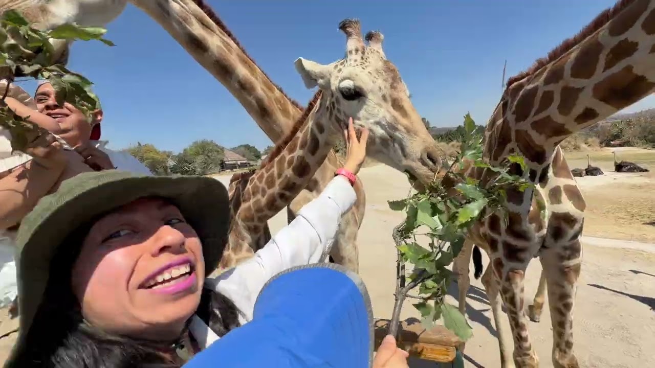 Recorriendo el Africam Safari