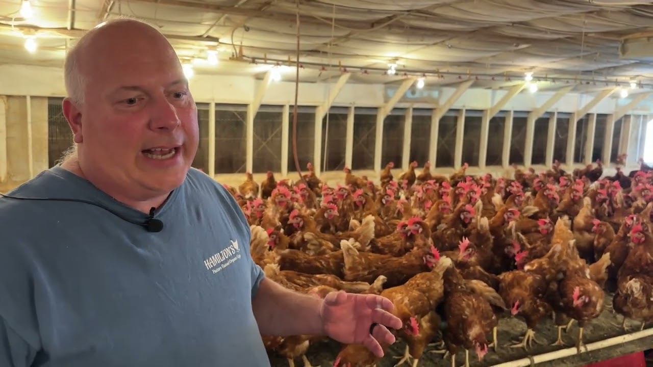 Rooted in the Mountain State - Lonesome Ridge Farm