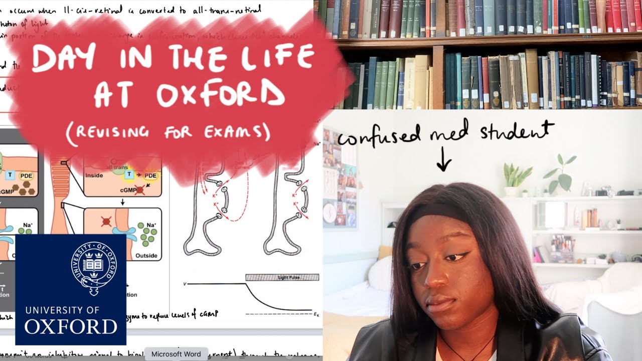 UNIVERSITY OF OXFORD vlog: still revising for my medical school exams
