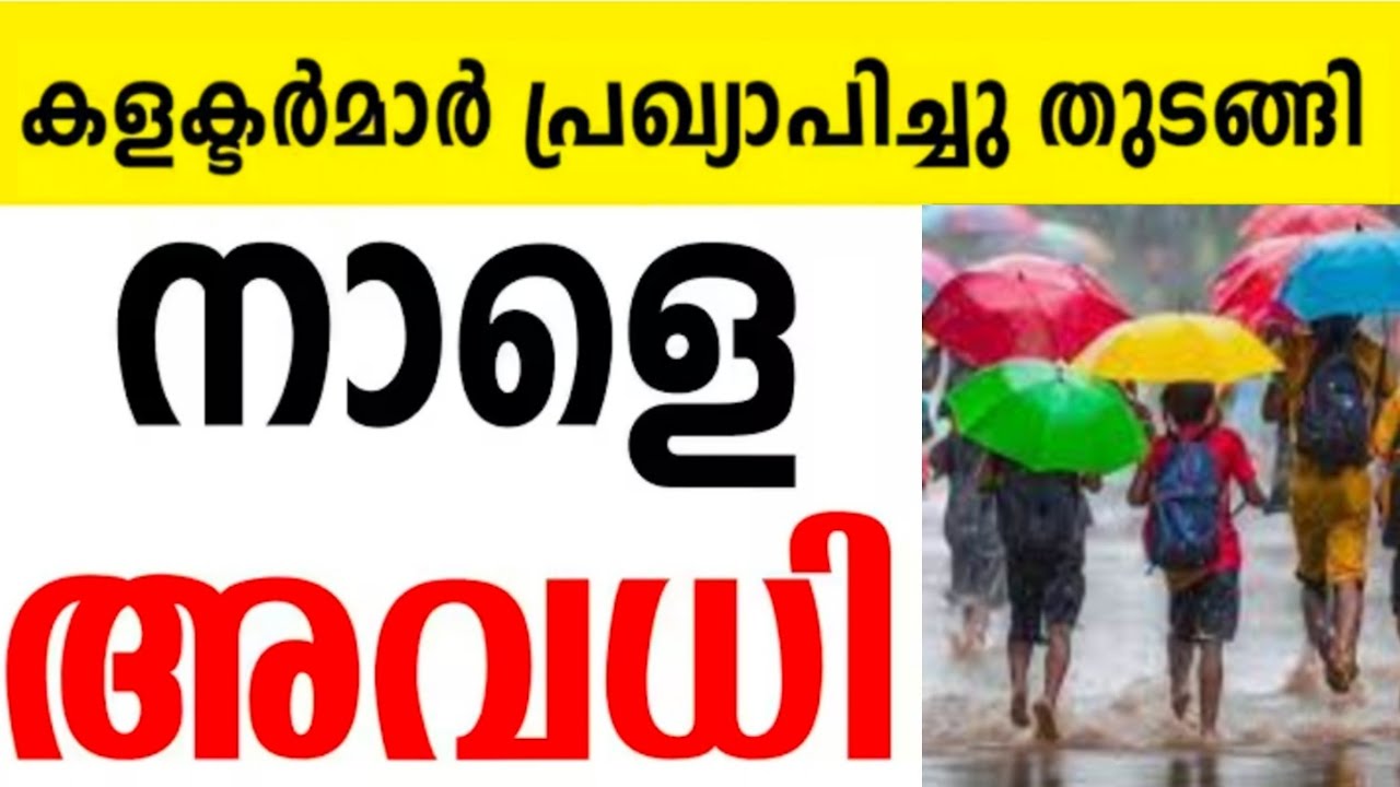 🛑Holiday Tomorrow ⁉️Kerala Rain | Tomorrow School Holiday News Malayalam Today | Kerala Rain Tomo...