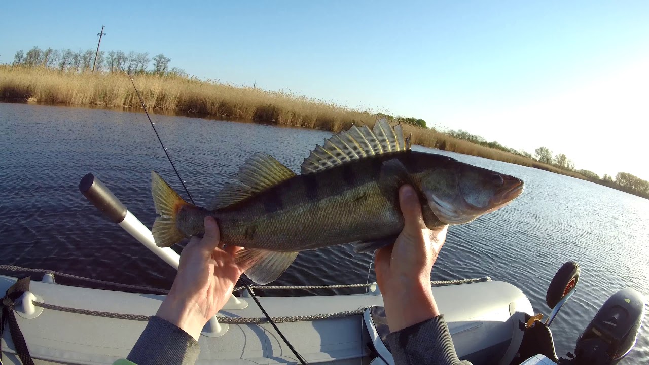 Ловля щуки и судака нахлыстом | Fly Fishing for pike and zander