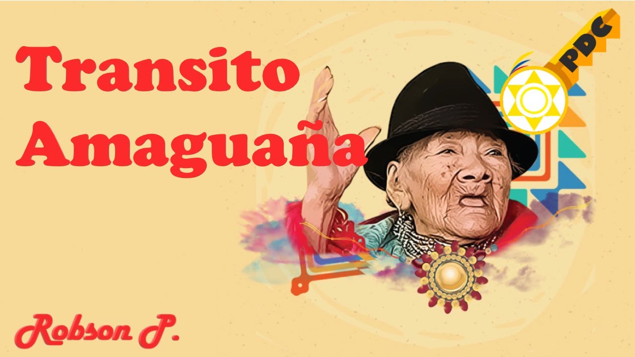¿Quién fue TRANSITO AMAGUAÑA?