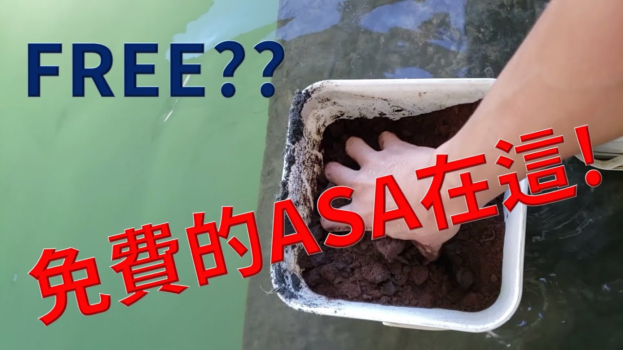 不用錢的ASA(誘餌)(釣魚A撒)
