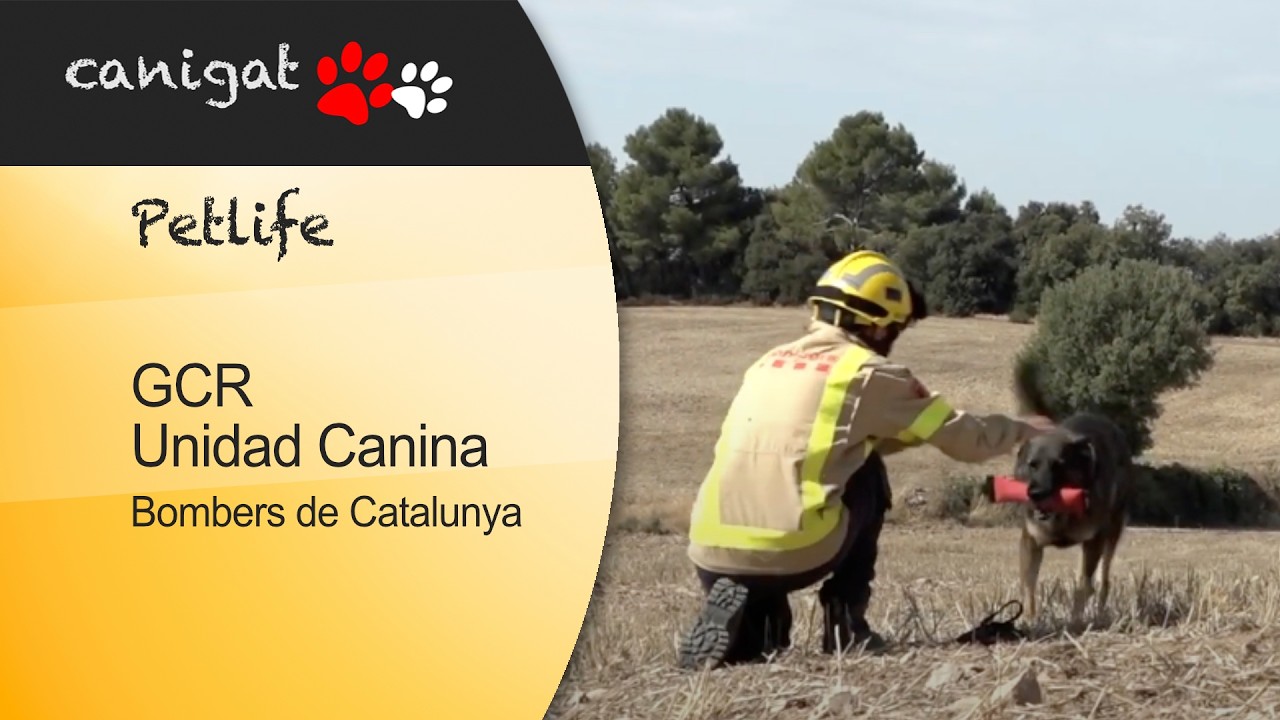 GCR Unidad canina Bombers de Generalitat de Catalunya