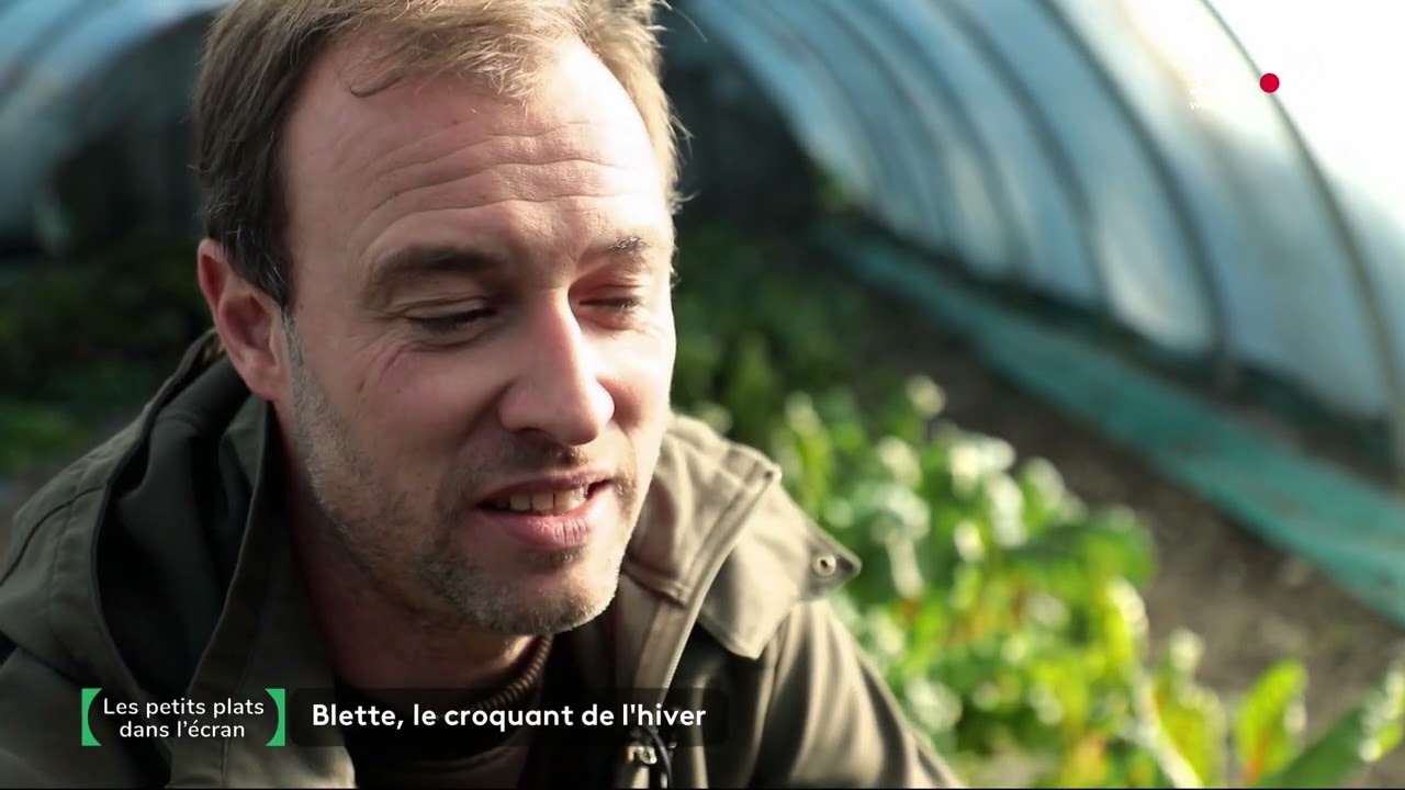 F2, Petits plats dans l'écran, la Blette, janv  2024