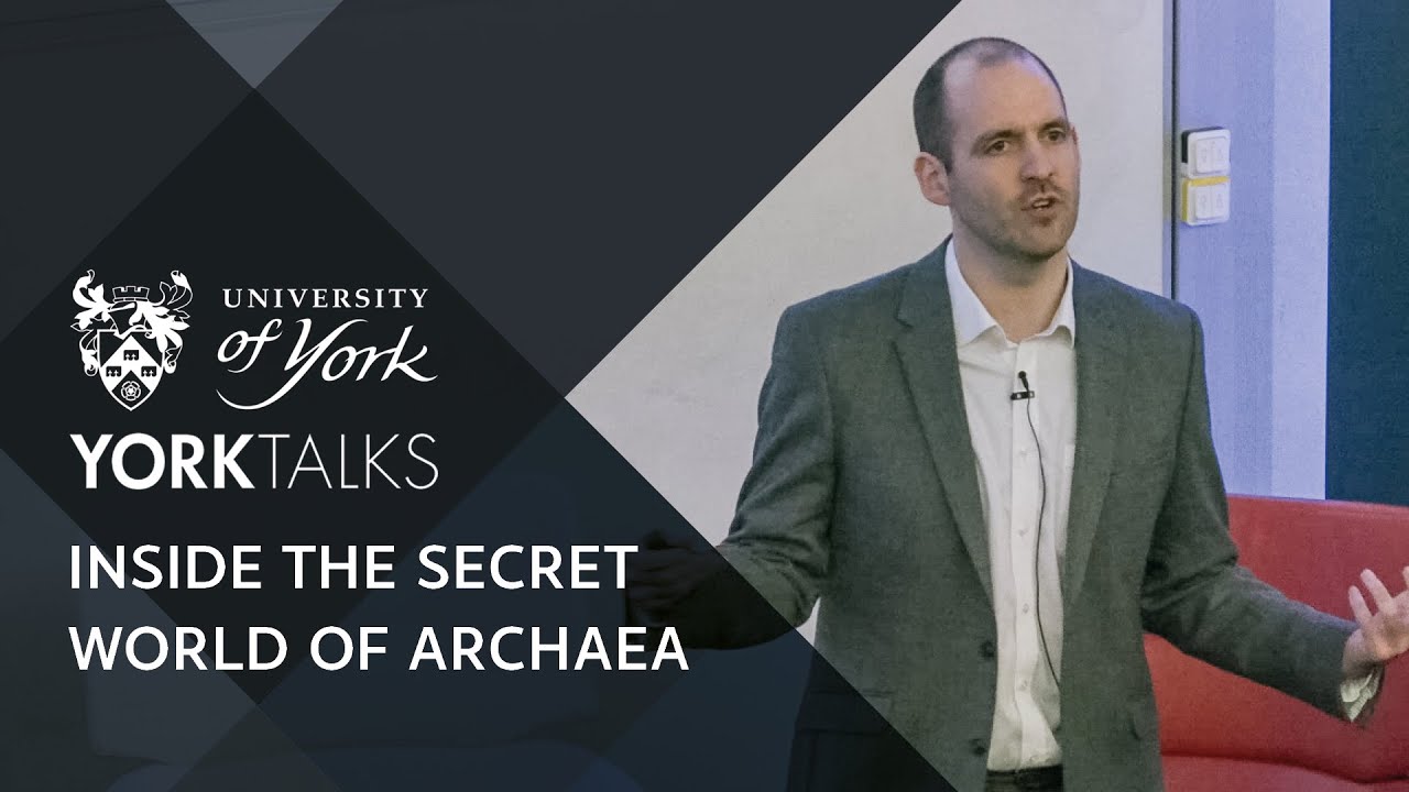 YorkTalks 2020: Inside the secret world of archaea, one of the planet&rsquo;s greatest survivors