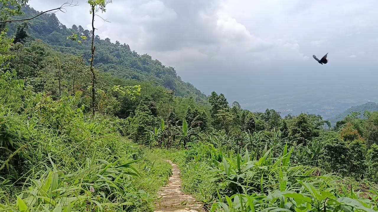 Breathtaking Mountain Summit View With Natural Ambient Sound