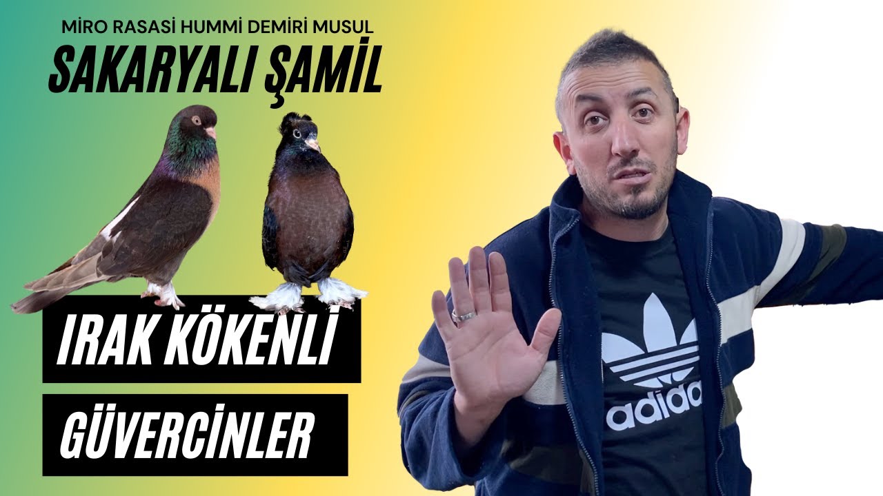 ''400 Yavru Aldım 1 Tane Bile Hummi &Ccedil;ıkmadı'' Sakarya'dan Mirocu Şamil Ulun&ccedil;