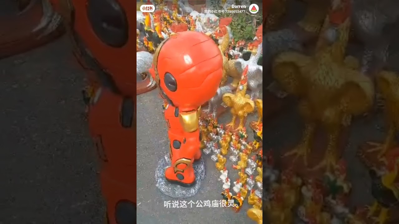 泰国神秘公鸡庙！你敢探索吗？