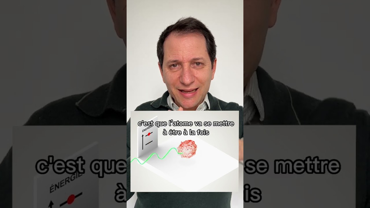 Voir un chat de Schr&ouml;dinger (short n&deg;201)