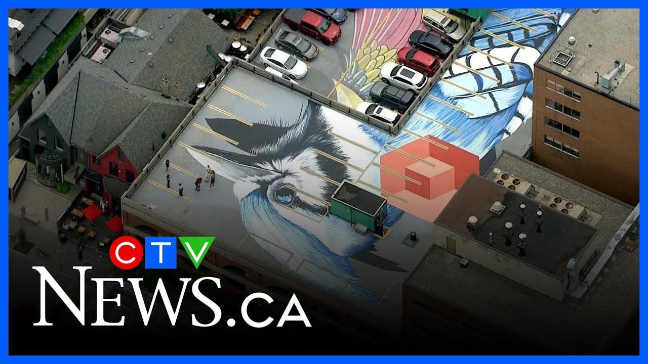 Artist &lsquo;felt groovy&rsquo; to create massive mural honouring Toronto Blue Jays