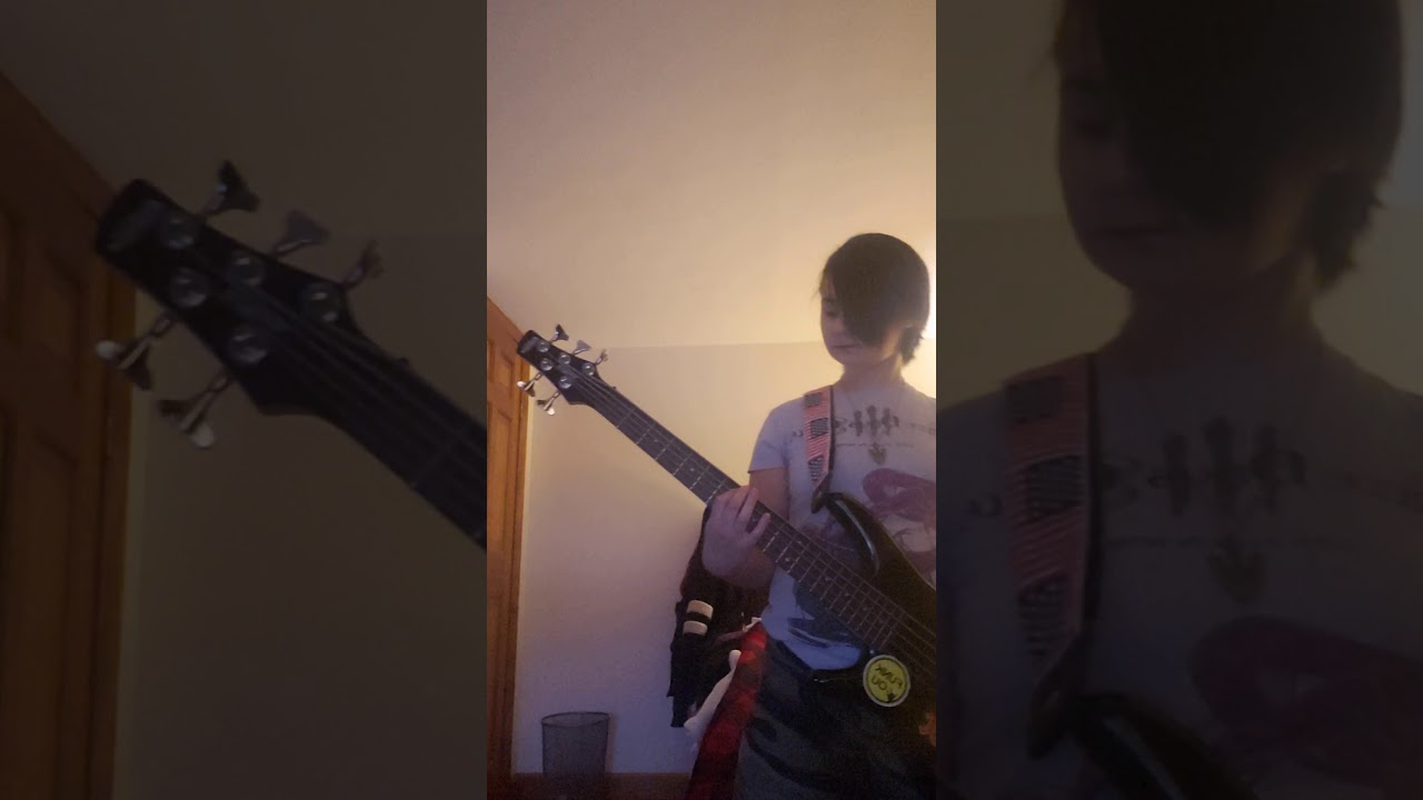 Black Sabbath- Into the Void Bass Cover