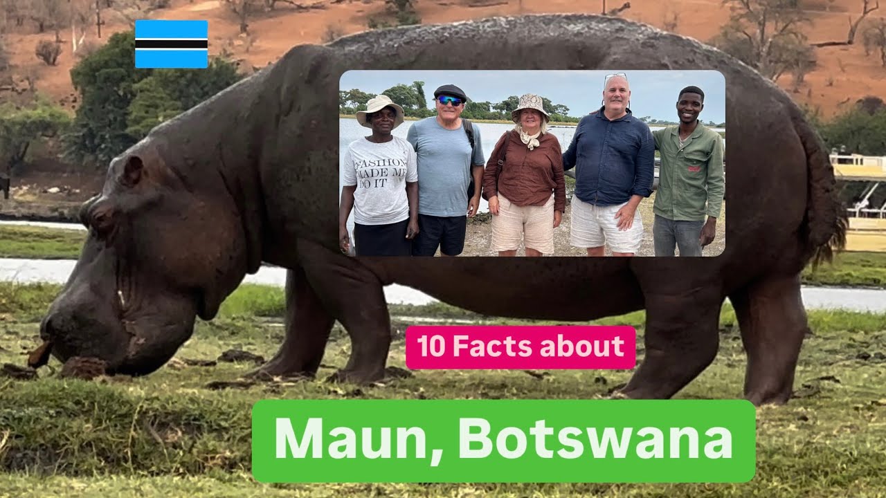 Okavango Delta in Maun Botswana is renowned for its incredible wildlife!