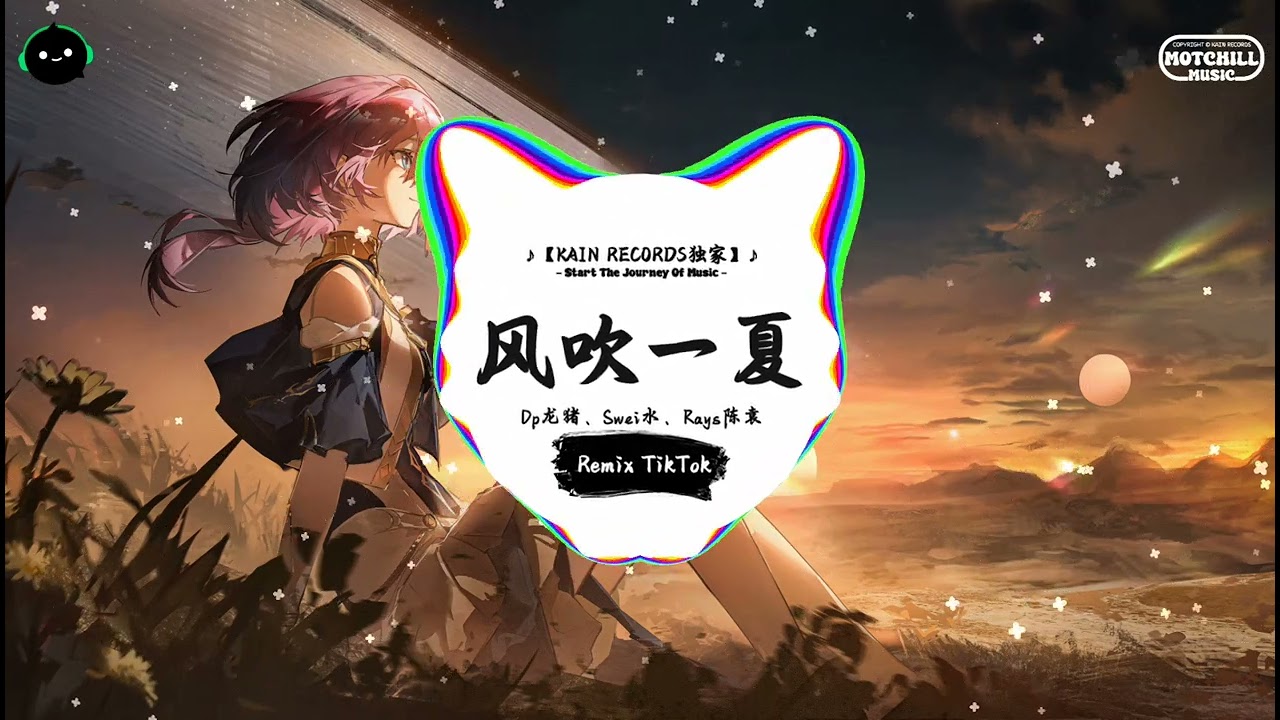 风吹一夏 (抖音DJ版) - Dp龙猪、Swei水、Rays陈袁「不经意回忆想起恋爱的轨迹，对不起何必忘记放在我嘴里。」♪ || 年度最佳抖音歌曲 | 抖音 | TikTok ♪