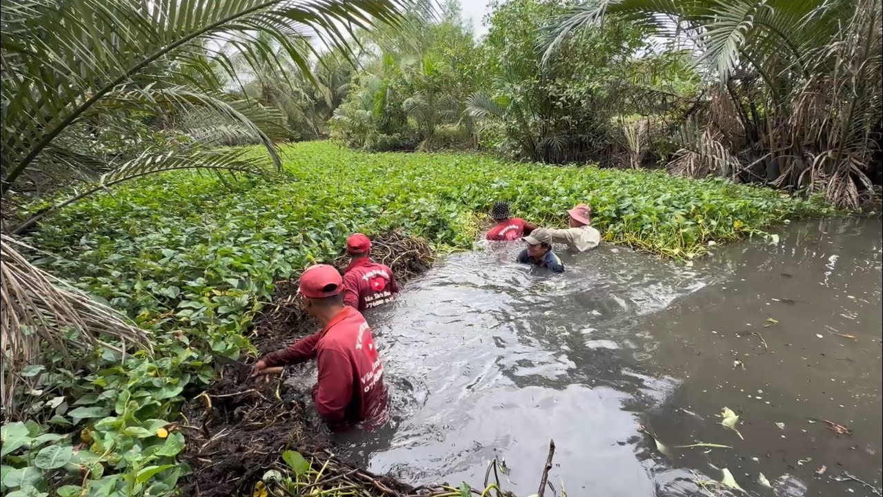 Theo Dượng Sáu đi ra con kênh lâu năm ruồng Rau Muống bắt Cá VXĐ 