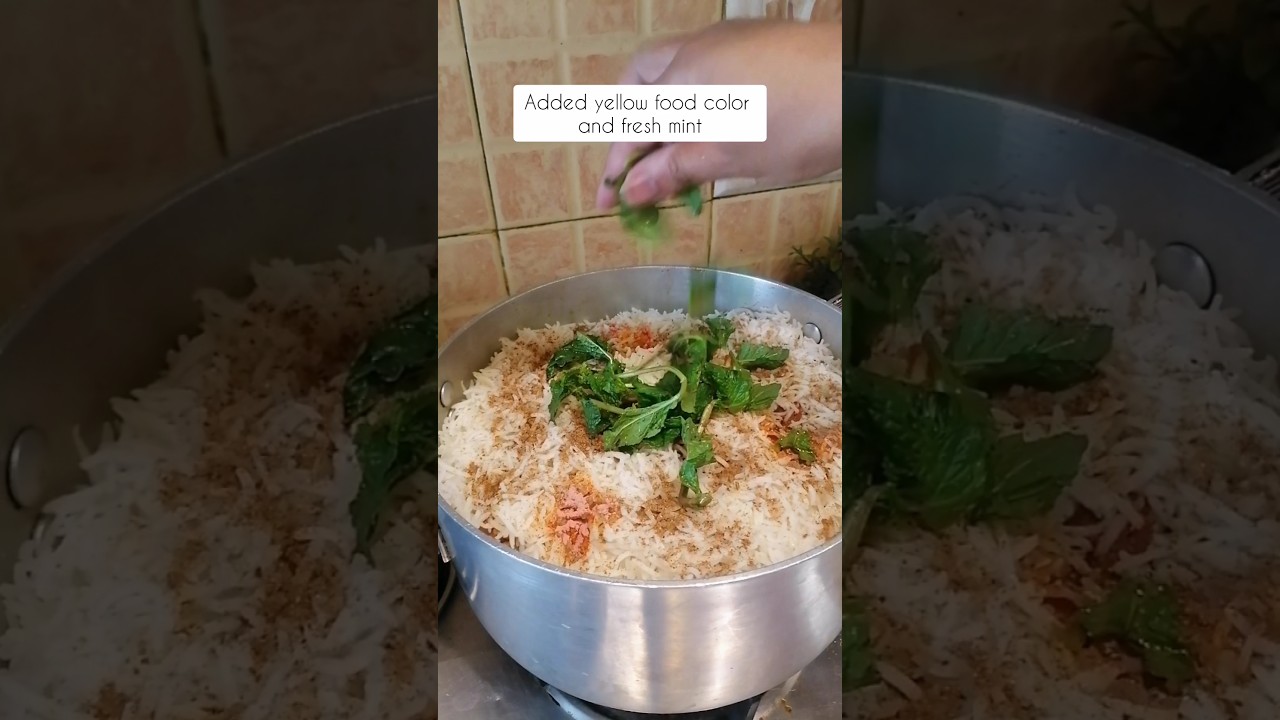 Shan Bombay Biryani Recipe | Chicken Bombay Biryani | Chicken Biryani Recipe #shortsfeed