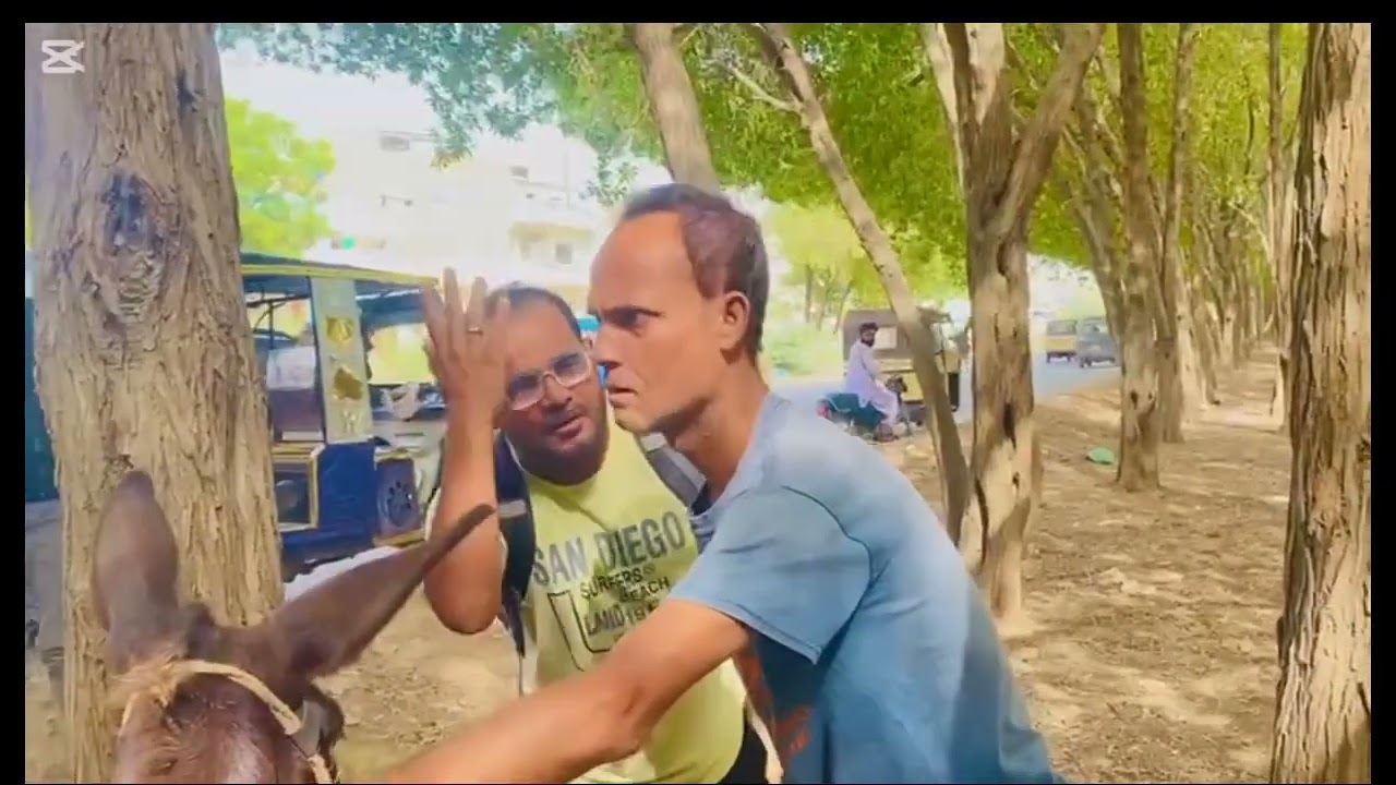 Ghada bana sasur 😂🤣