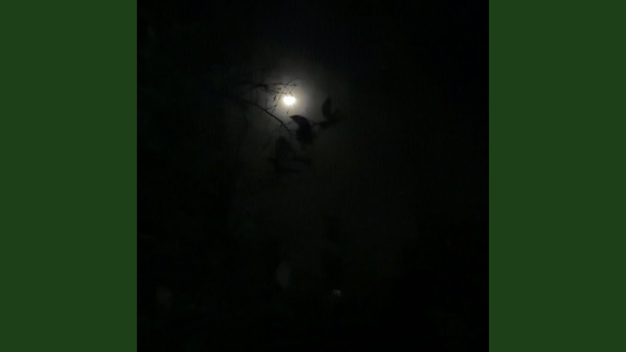 In the Night