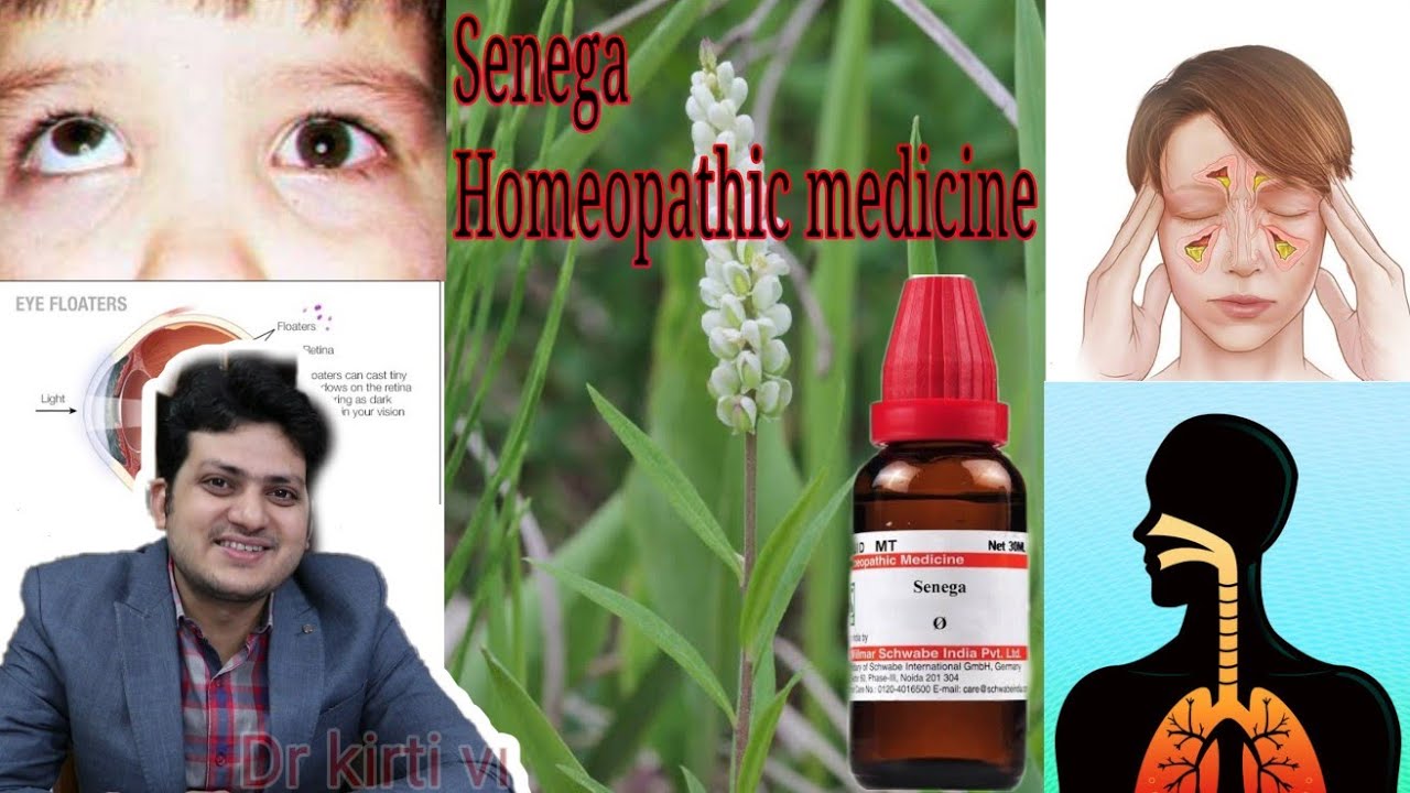Senega | Homeopathic Medicine for allergy and infection ? cough eyeflotter Hyperphoria !