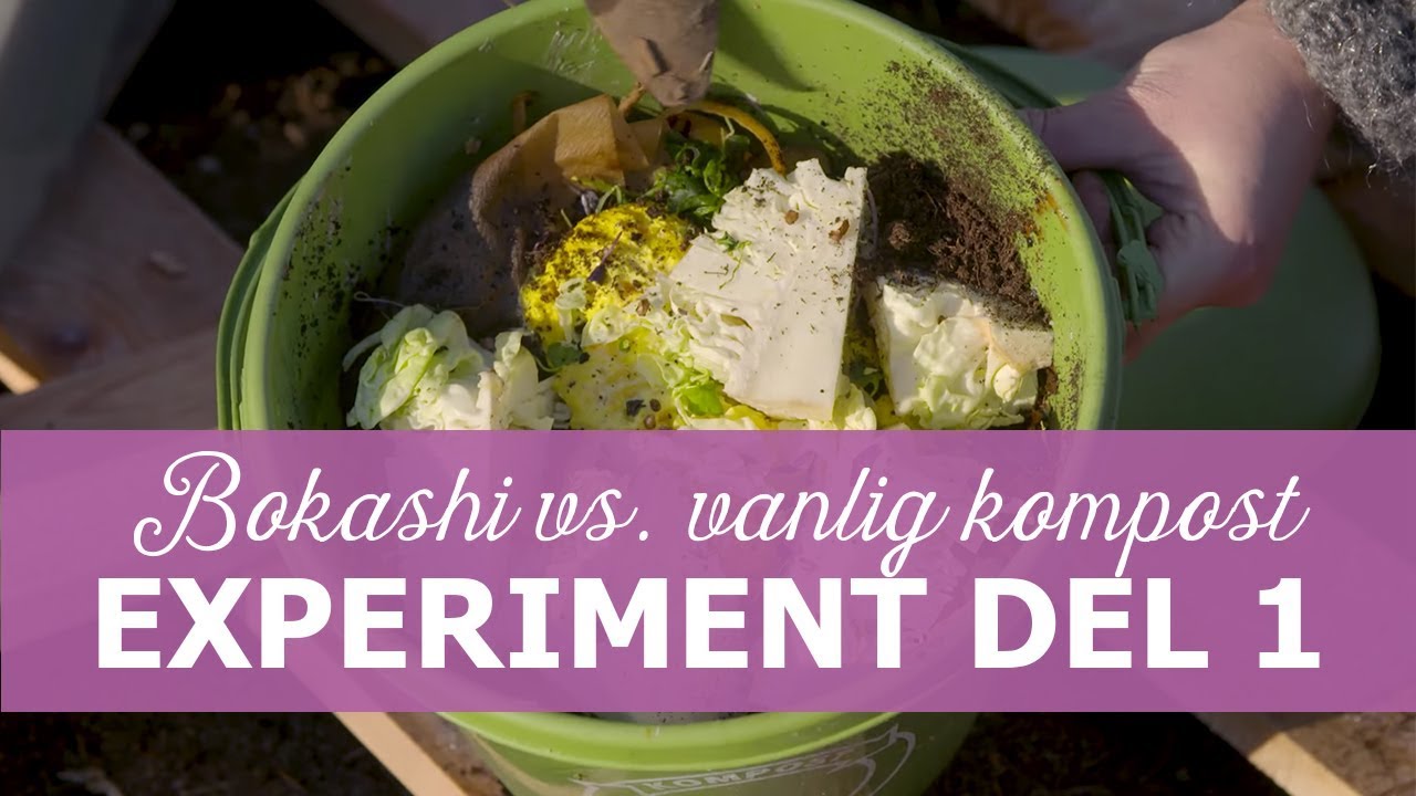 Experiment: Bokashi vs. vanlig kompost del 1
