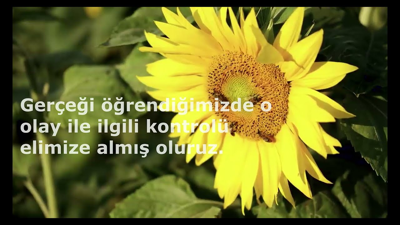 GERÇEK SAHTE