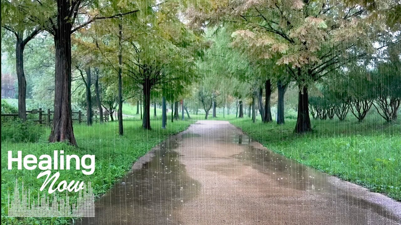 Целебные звуки дождя на парковой тропе: помогут снять стресс и погрузиться в глубокий сон.
