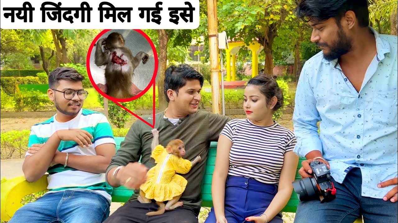 We Saved Monkey's Life // Sumit Cool Lifestyle