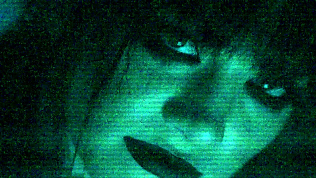 WWE: Tatum Paxley – Custom Entrance Video (TitanTron) feat. 