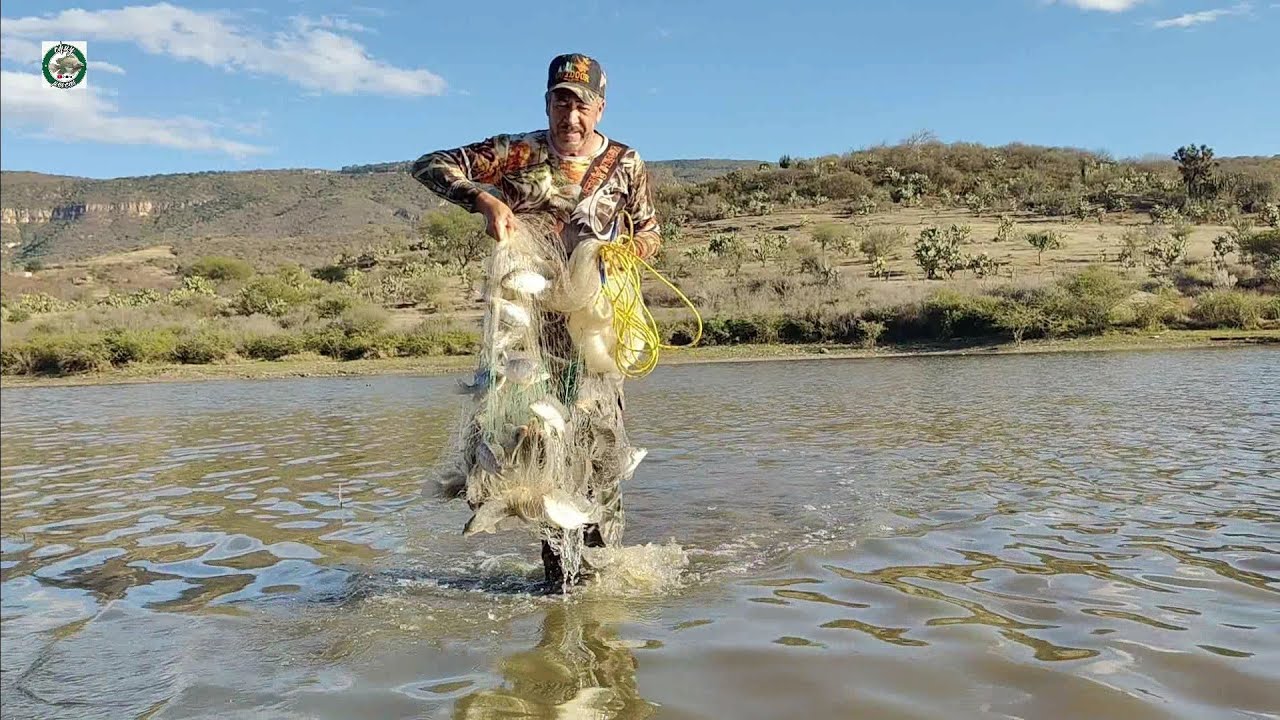 Laguna mega llena de tilapias tarrayazos megallenos