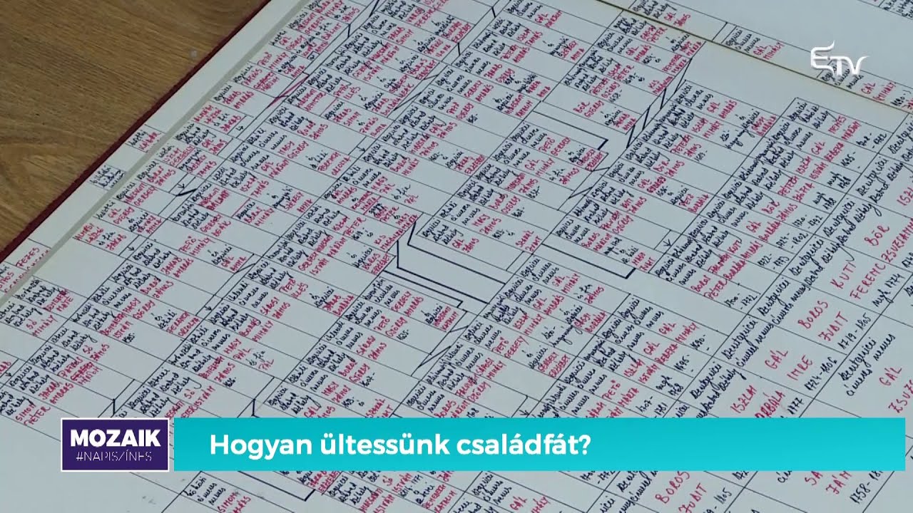 Hogyan készítsük el a családfánkat? – Mozaik