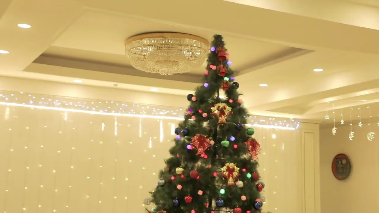 ❄️Xorazm viloyat musiqali drama teatrida yangi yil muhiti a’lo darajada🎄✨