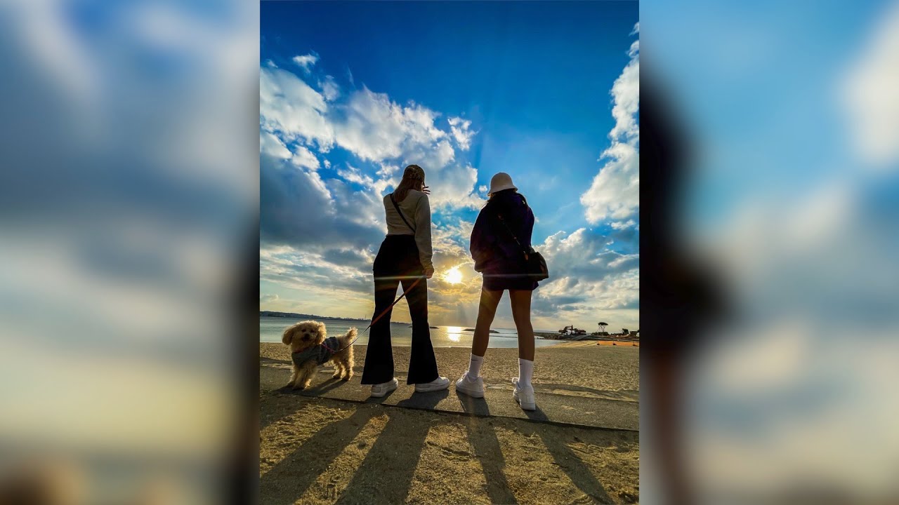 【衝撃！】エモい後ろ姿の写真の撮り方 #Shorts