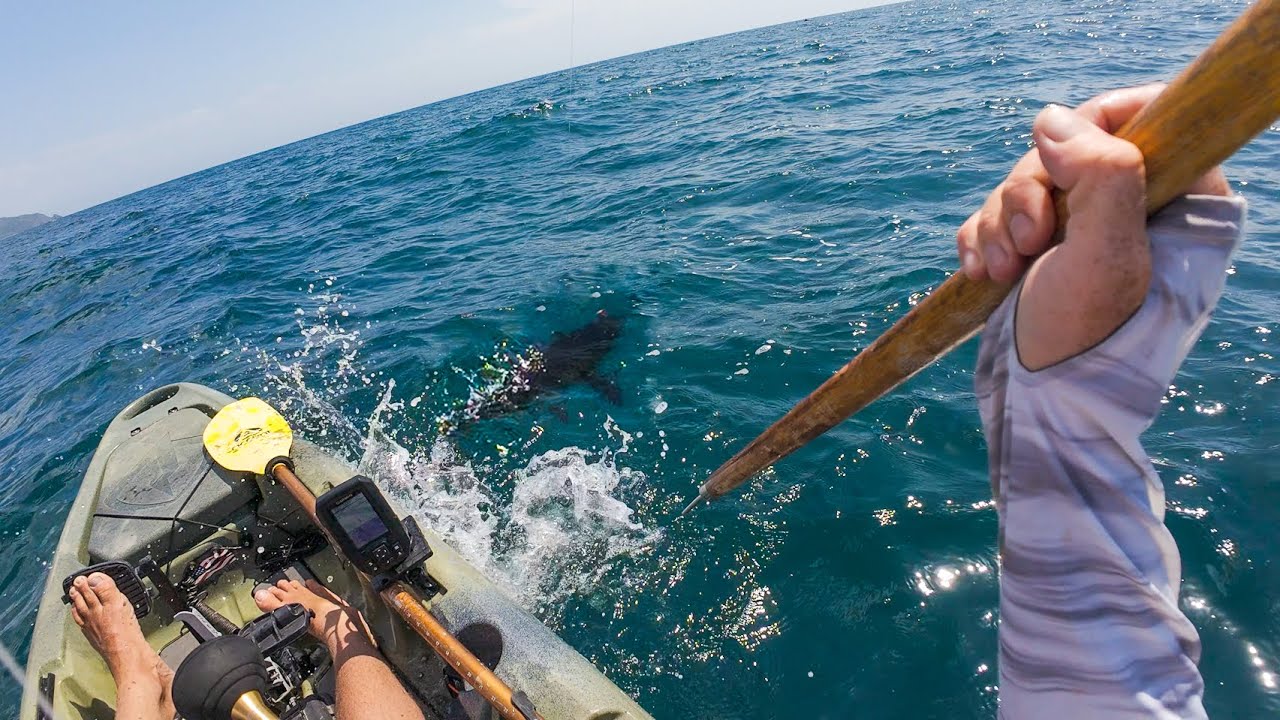 Offshore Kayak Fishing for Pacific Giants