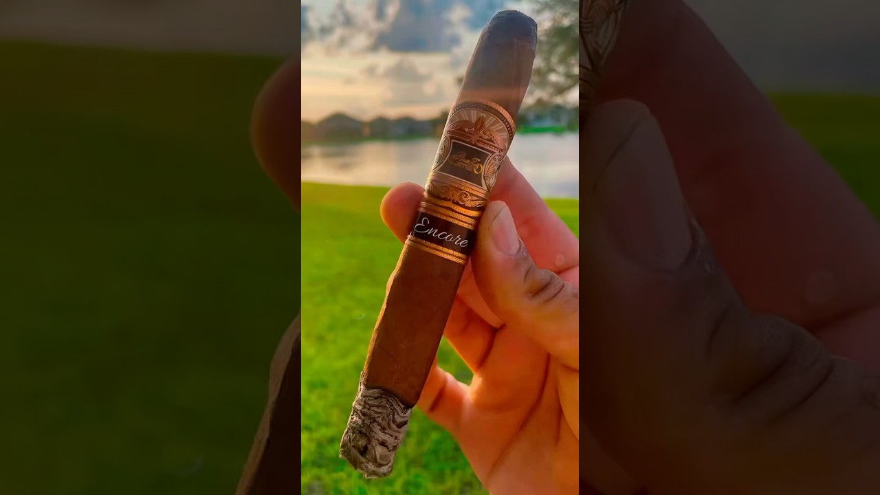 🍂💨 E.P. Carrillo Encore 💨🍂#asmr #cigars #asmrsounds #cigarsdaily