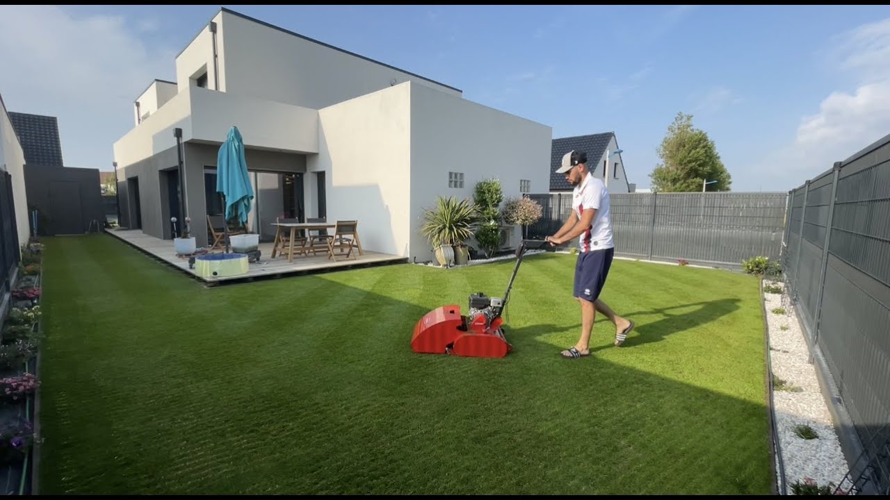 Обновление газона - результат