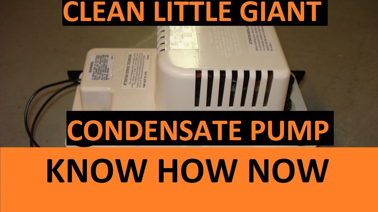 Clean a Little Giant Condensate Pump