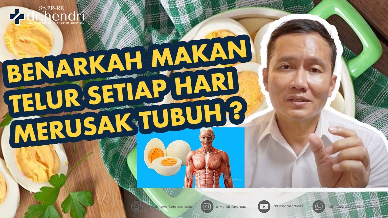 Punya Segudang Manfaat. Ini Efeknya kalau Makan Telur Setiap Hari.
